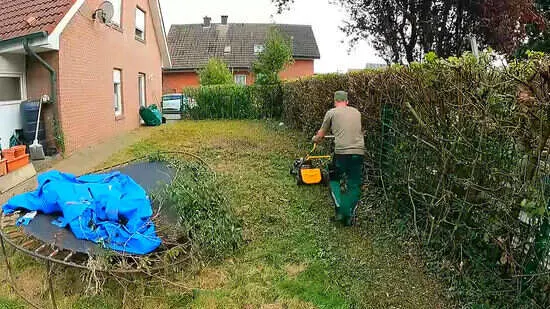 Lawn care cape coral 2 2