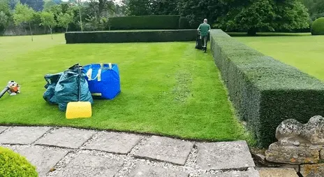 Lawn Care Green Wall