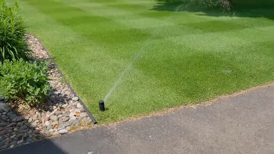 Sprinkler lawn watering system