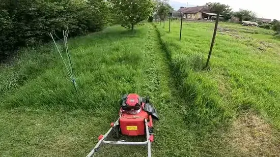 Lawn Mowing Services 3 Lawn care cape coral 6