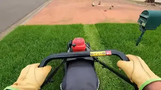 Lawn Mowing Services 4 Lawn care cape coral 7
