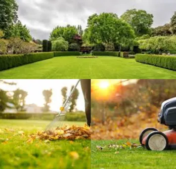 Seasonal & Pre/Post Hurricane 1 Seasonal Lawn Care