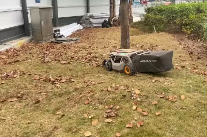 Lawn Maintenance Services 4 The Lawn Specialists 7