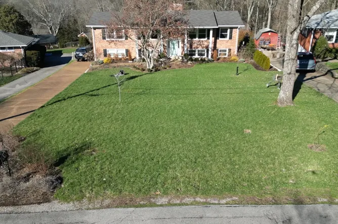 Lawn Maintenance Services 2 The Lawn Specialists 9