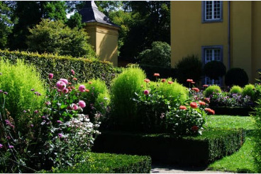 Eco-Friendly and Specialized Lawn Care 1 imagy image 24 2