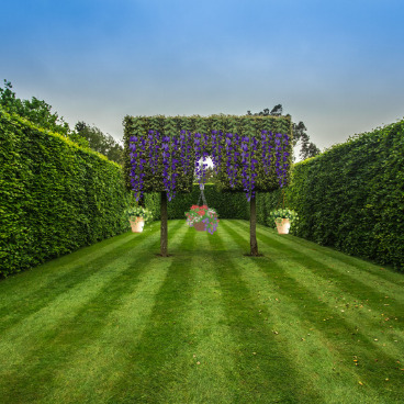 Eco-Friendly and Specialized Lawn Care 3 imagy image 27 1