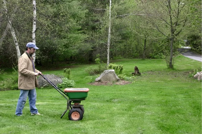 Top 5 Lawn Care Mistakes Cape Coral Homeowners Make (And How to Avoid Them) 7 4 Improper Fertilization