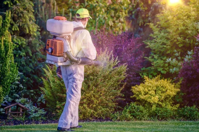 Top 5 Lawn Care Mistakes Cape Coral Homeowners Make (And How to Avoid Them) 9 5. Neglecting Weed and Pest Control 1