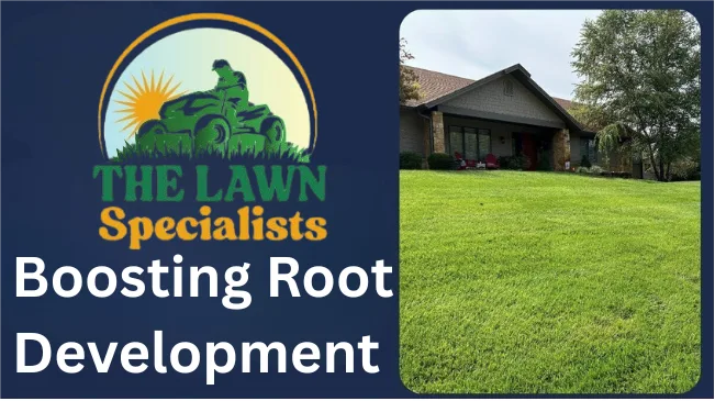 Why Cape Coral Lawns Need Regular Aeration: Benefits and Tip 4 Boosting Root Development