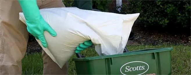 Why Cape Coral Lawns Need Regular Aeration: Benefits and Tip 3 Enhancing Nutrient Absorption