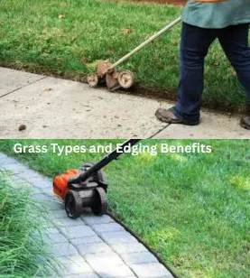 Grass Types and Edging Benefits