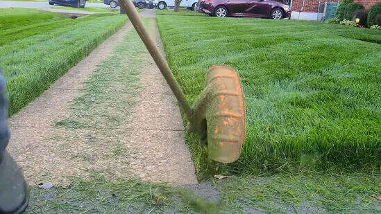 Lawn Improvement 3 Seeding and Overseeding