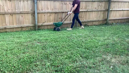 Lawn Improvement 4 Steps to Prepare Your Yard for Seeding