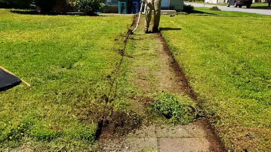 Lawn Improvement 6 Fertilization