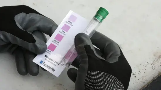 Lawn Improvement 7 Soil Testing and Treatment