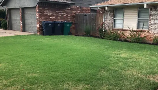 Why Cape Coral Lawns Need Regular Aeration: Benefits and Tip 5 Lawn care cape coral