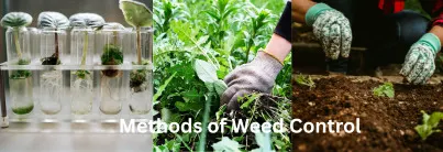 Methods of Weed Control