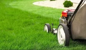 Top 5 Lawn Care Mistakes & How to Avoid Them 2 Mowing Grass Too Short