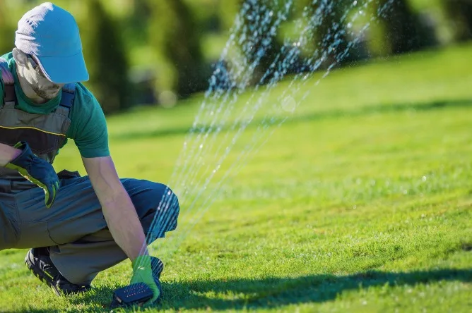 Top 5 Lawn Care Mistakes Cape Coral Homeowners Make (And How to Avoid Them) 4 Overwatering How to Avoid It 1