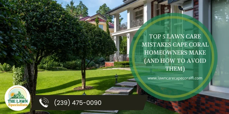 Top 5 Lawn Care Mistakes & How to Avoid Them 4 Top 5 Lawn Care Mistakes & How to Avoid Them