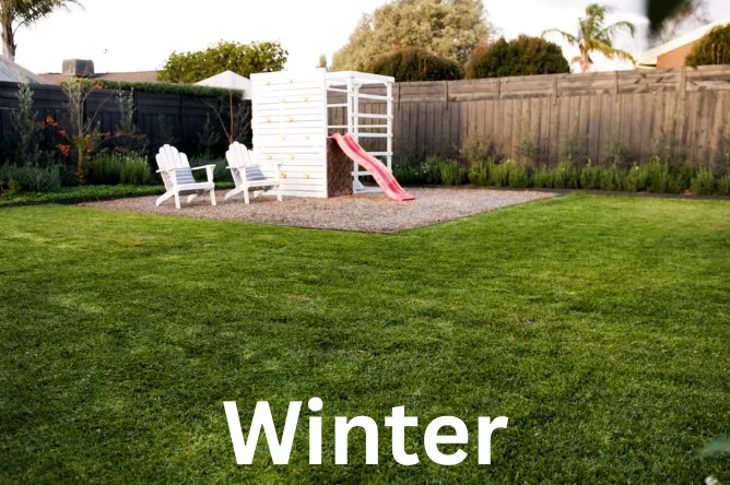 Lawn Maintenance Services 5 Winter lawn