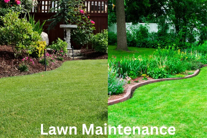 Lawn Maintenance Services 1 Lawn Maintenance