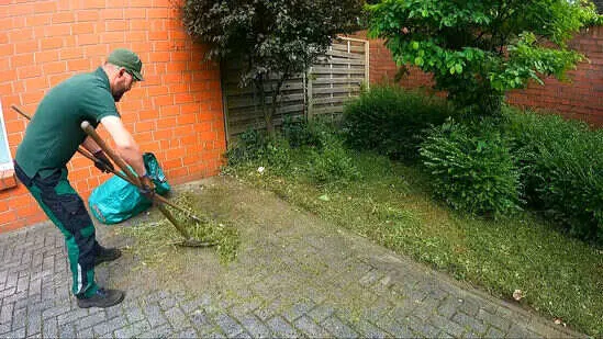 Emergency Lawn Care 3 lawn care cape coral 6 4