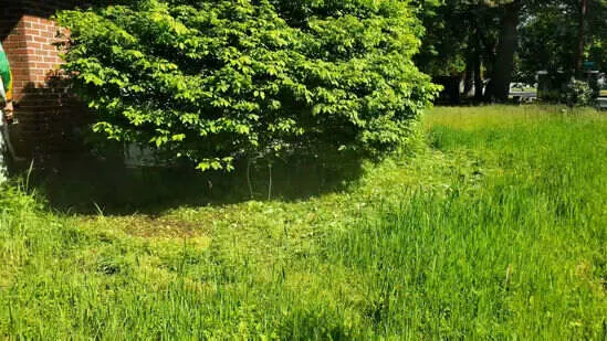 Emergency Lawn Care 1 lawn care cape coral 8 1