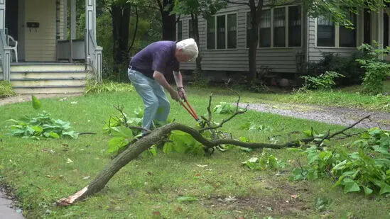 Emergency Lawn Care 2 lawn care cape coral9