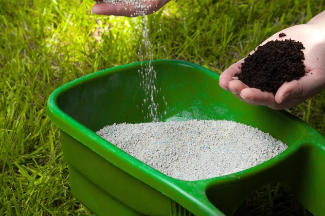 Why Cape Coral Lawns Turn Brown and How to Fix Them 13 Fertilization