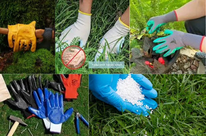 Leather, Nitrile-Coated, Cotton or Synthetic, Rubber and Gloves