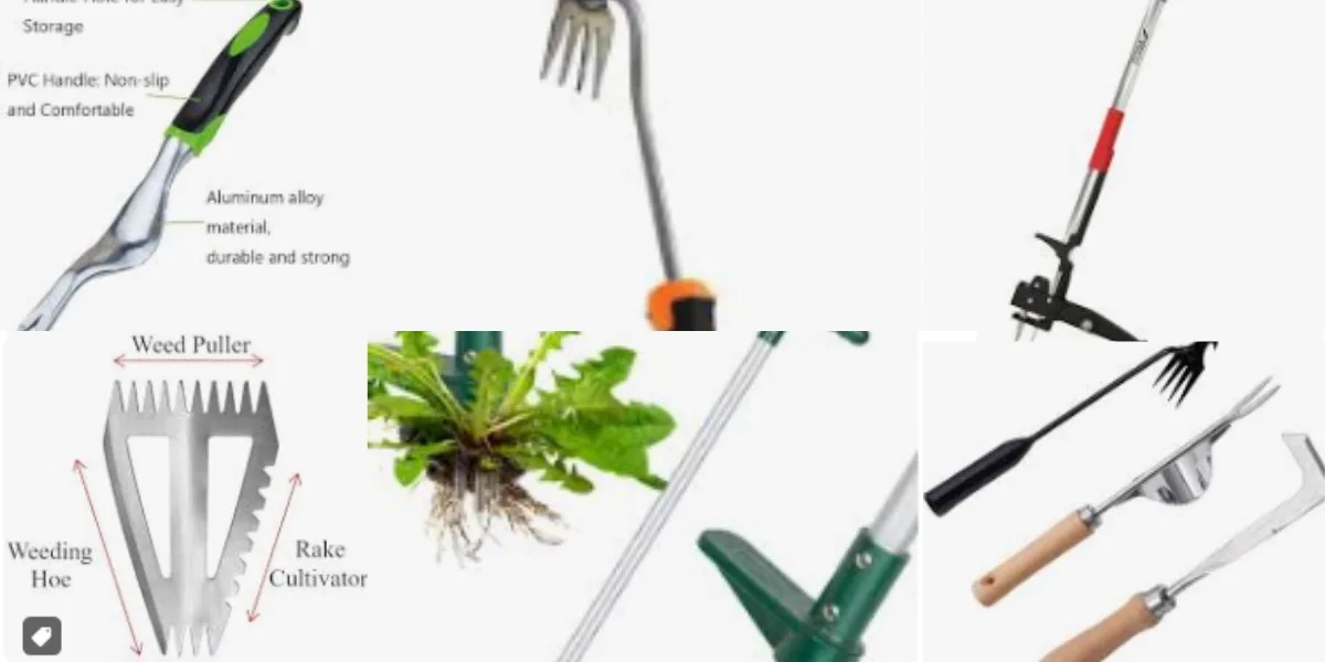 Handheld Weed Pullers