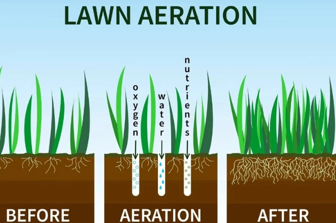 Benefits of Lawn Aeration