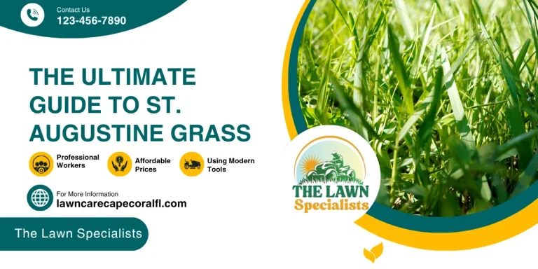 The Ultimate Guide to St. Augustine Grass Care in Cape Coral 1 The Ultimate Guide to St. Augustine Grass Care in Cape Coral
