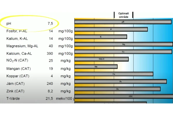 Why Cape Coral Lawns Turn Brown and How to Fix Them 3 Nutrient Deficiencies