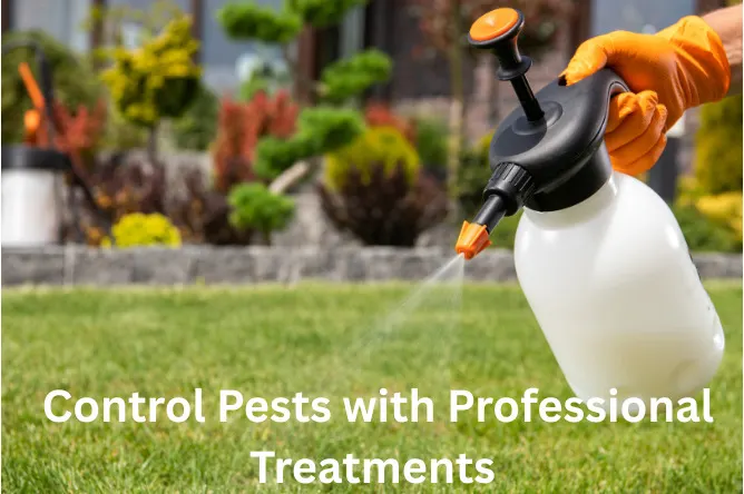 Why Cape Coral Lawns Turn Brown and How to Fix Them 12 control pests with professional treatments