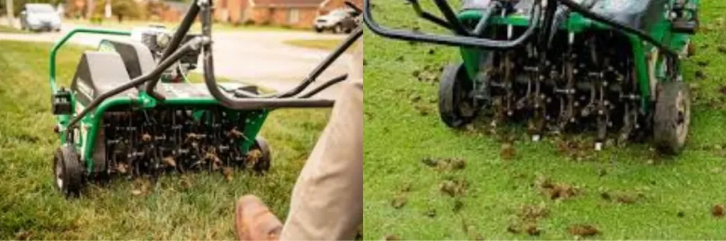 Lawn Aeration