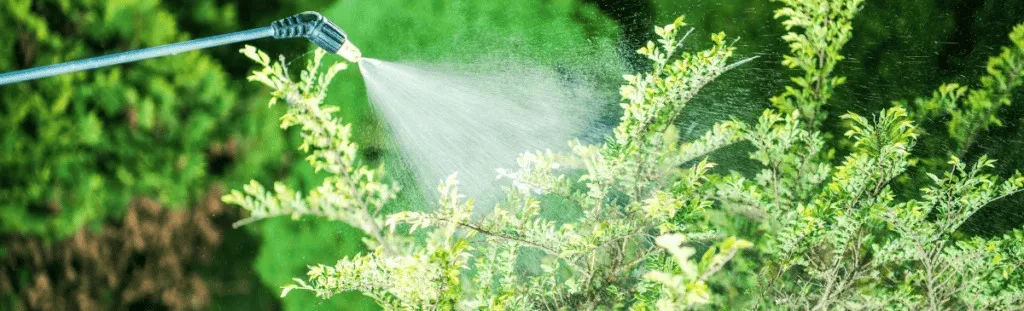 Lawn Care Services in Cape Coral, FL – Affordable & Reliable 18 Satisfaction is Our Guarantee