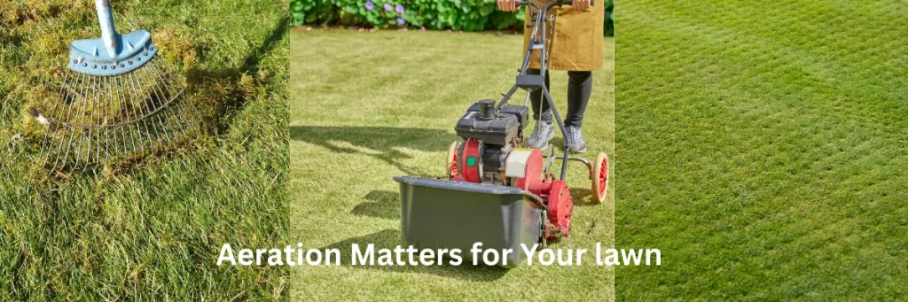 Aeration matters lawn care