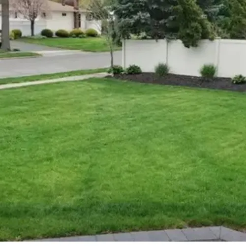  well - maintained lawn