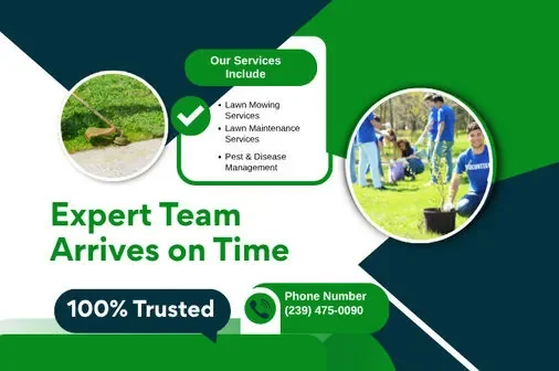 Lawn Care Services in Cape Coral, FL – Affordable & Reliable 12 Expert lawn care team