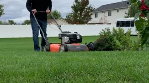 Reliable lawn care routine