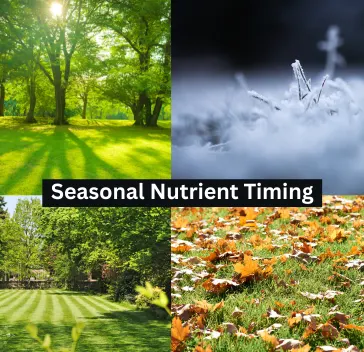 Seasonal Nutrient Timing