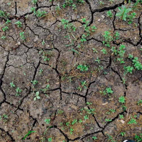 Soil Erosion Prevention