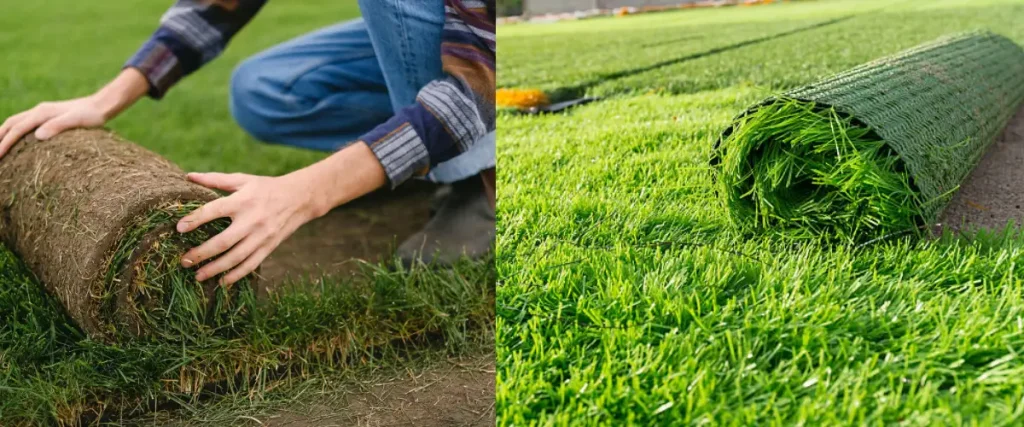 Sod & Turf (Artificial Grass) Installation